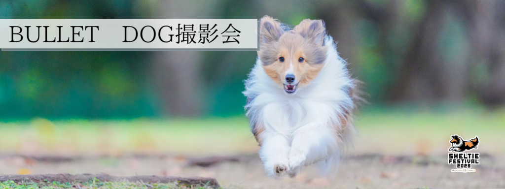BULLET DOG撮影会