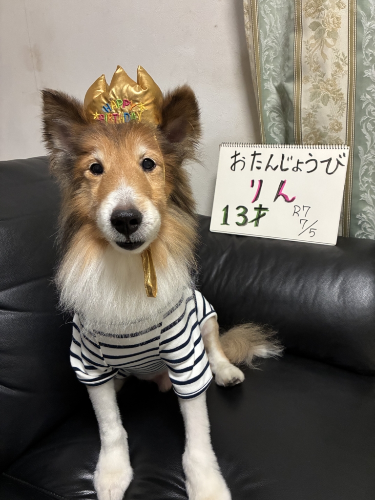 鈴くん