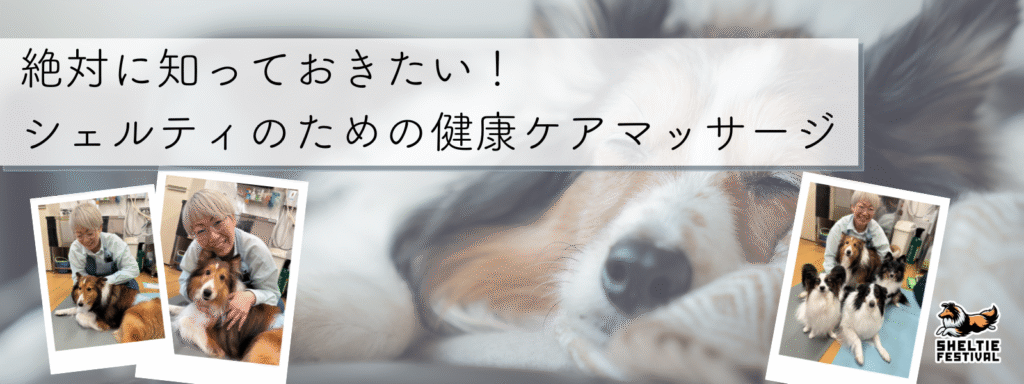 絶対に知っておきたい！シェルティのための健康ケアマッサージ
