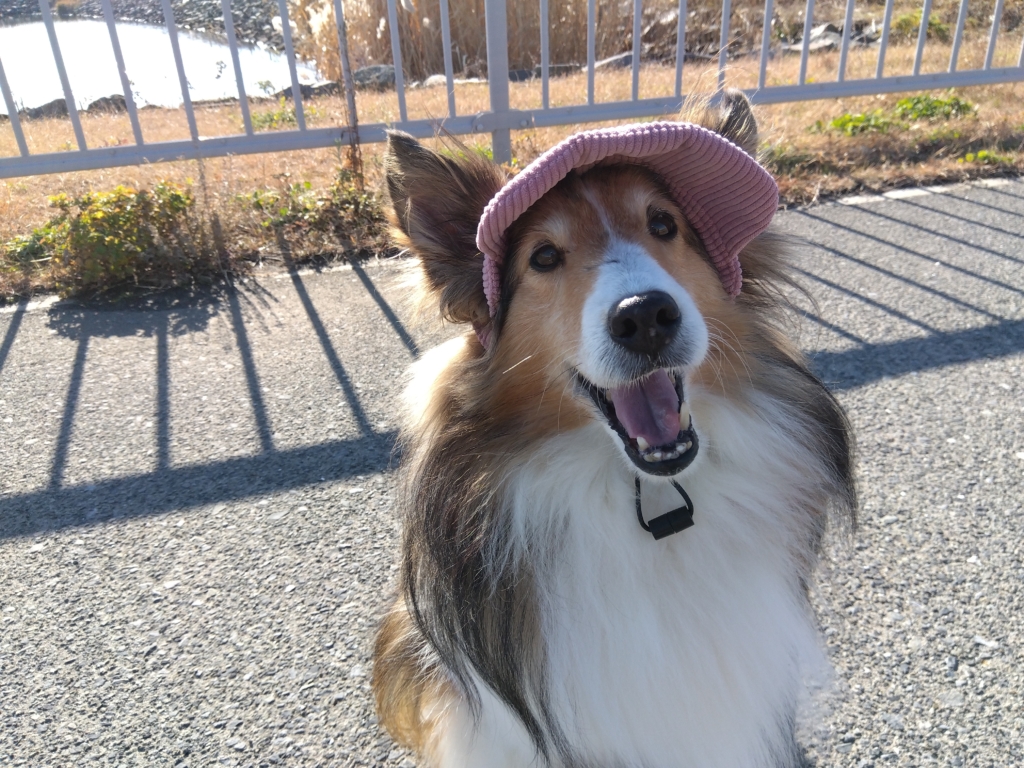 スズちゃん