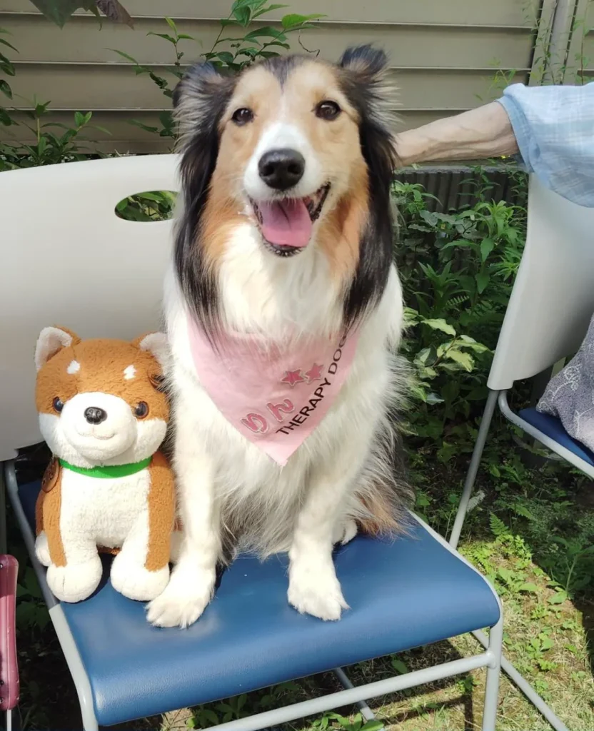 リンちゃん⁡