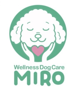 犬の整体マッサージ Wellness Dog Care MIRO