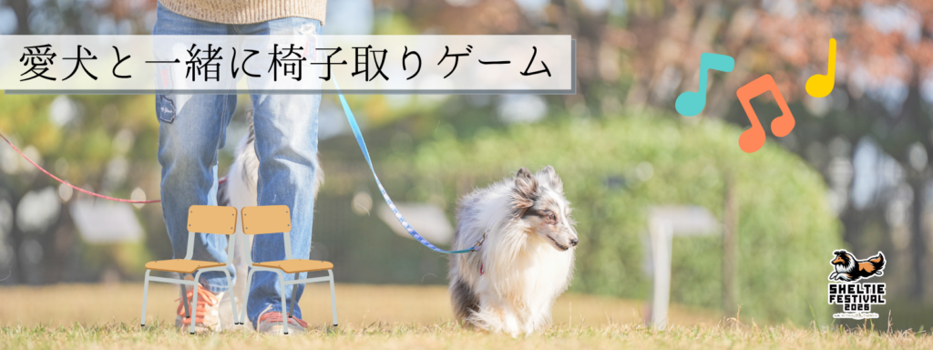 愛犬と一緒に椅子取りゲーム
